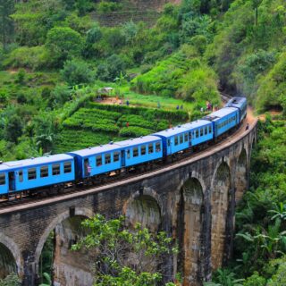 Group Sri Lanka Tour (10 Days / Minimum 5 Guests)